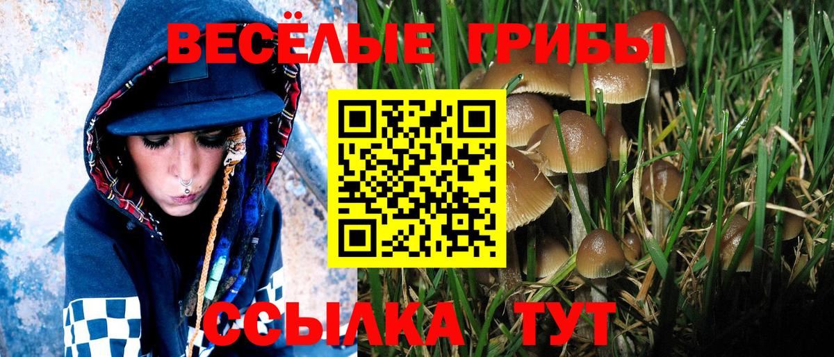 Ессентуки  Галлюциногенные грибы Cubensis  Вход с VPN  Псилоцибиновые грибы Psilocybe 